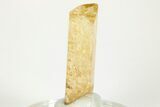 Gemmy Imperial Topaz Crystal - Zambia #208020-3